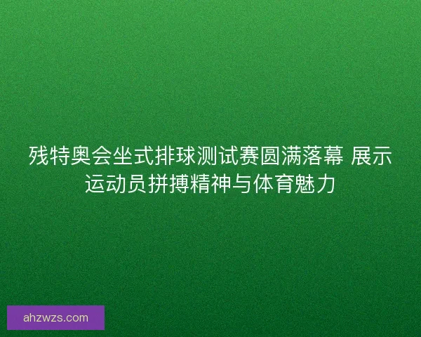 残特奥会坐式排球测试赛圆满落幕 展示运动员拼搏精神与体育魅力